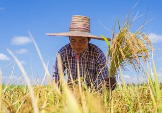 농민수당, 농어민수당, 농민기본소득, 농민공익수당 신청자격, 기간, 방법