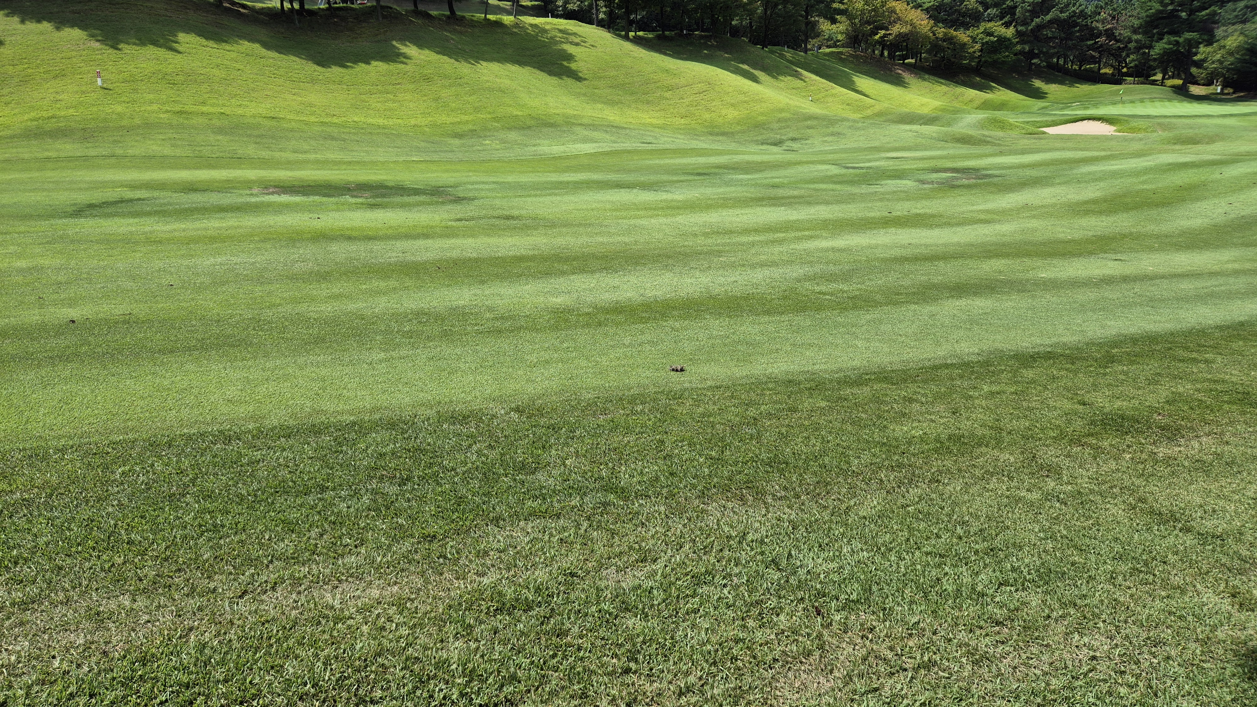 골프존카운티 천안 라운드 후기