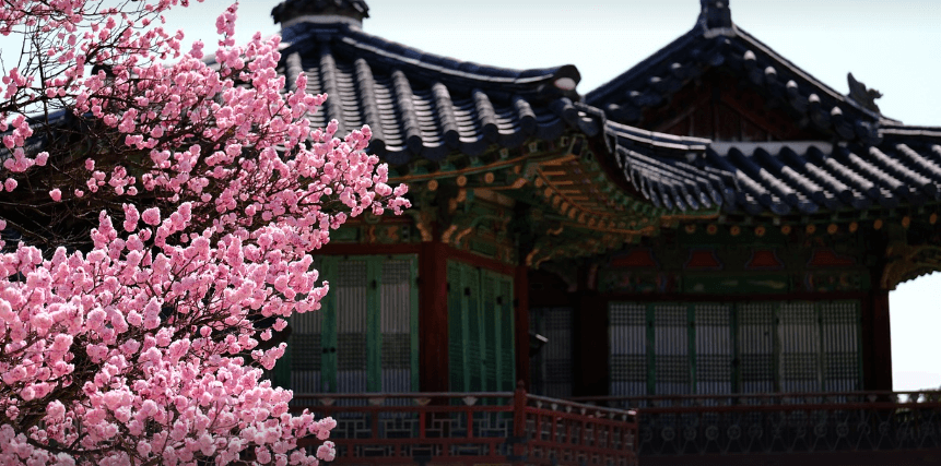창덕궁 달빛