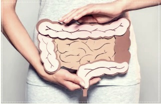 장 마비 증상, 원인 및 해결책.