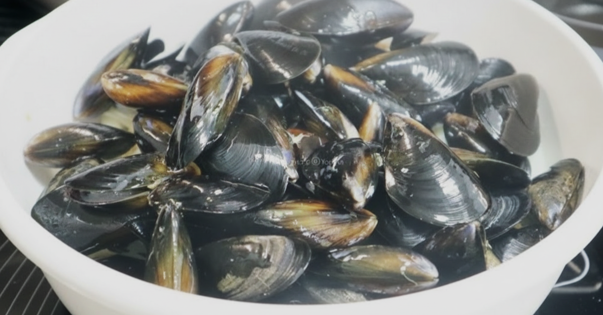 손질하기 전의 홍합이 담긴 보울