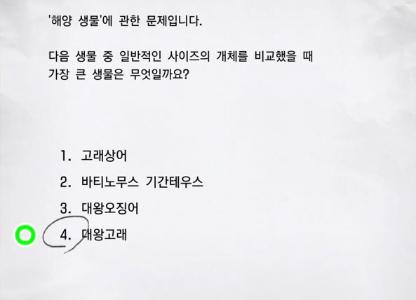 해양 생물 10 이미지