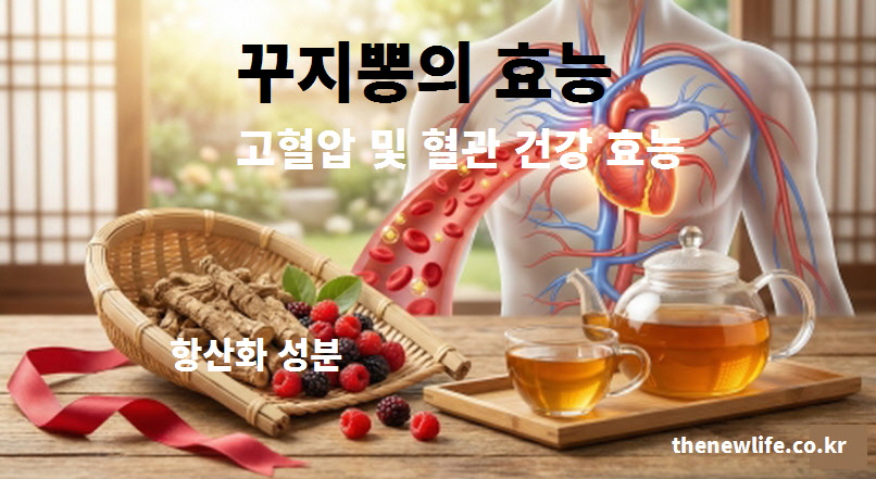 혈관 내벽을 청소하고 고혈압을 예방하는 꾸지뽕 효능과 항산화 성분 설명 이미지