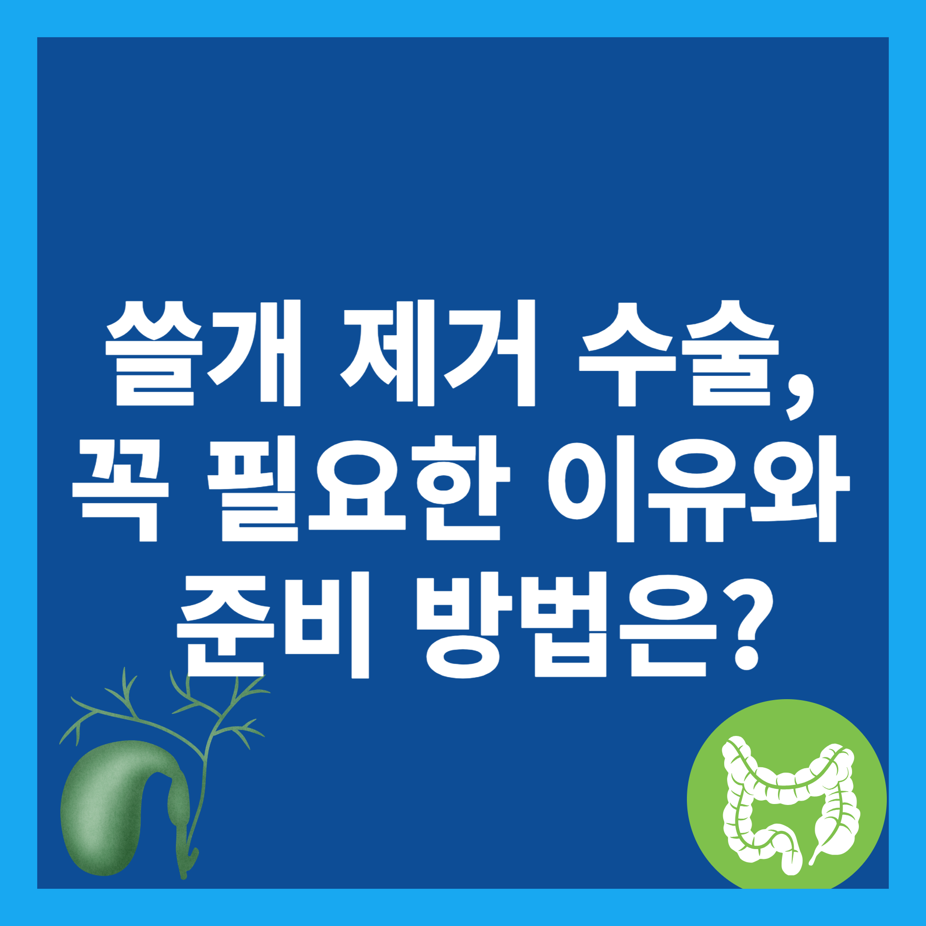 쓸개 제거 수술
