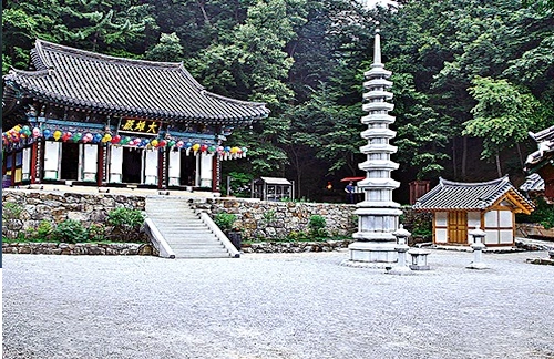 감자연구소 촬영장소