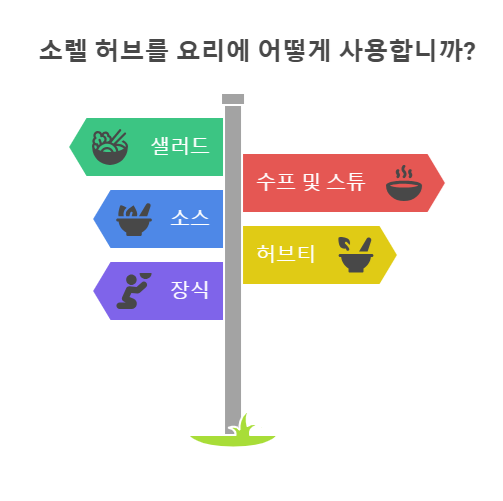 소렐 허브 섭취 방법