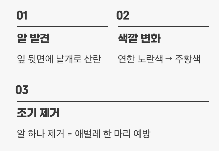보이지 않는 적, 잎 뒷면의 노란 알