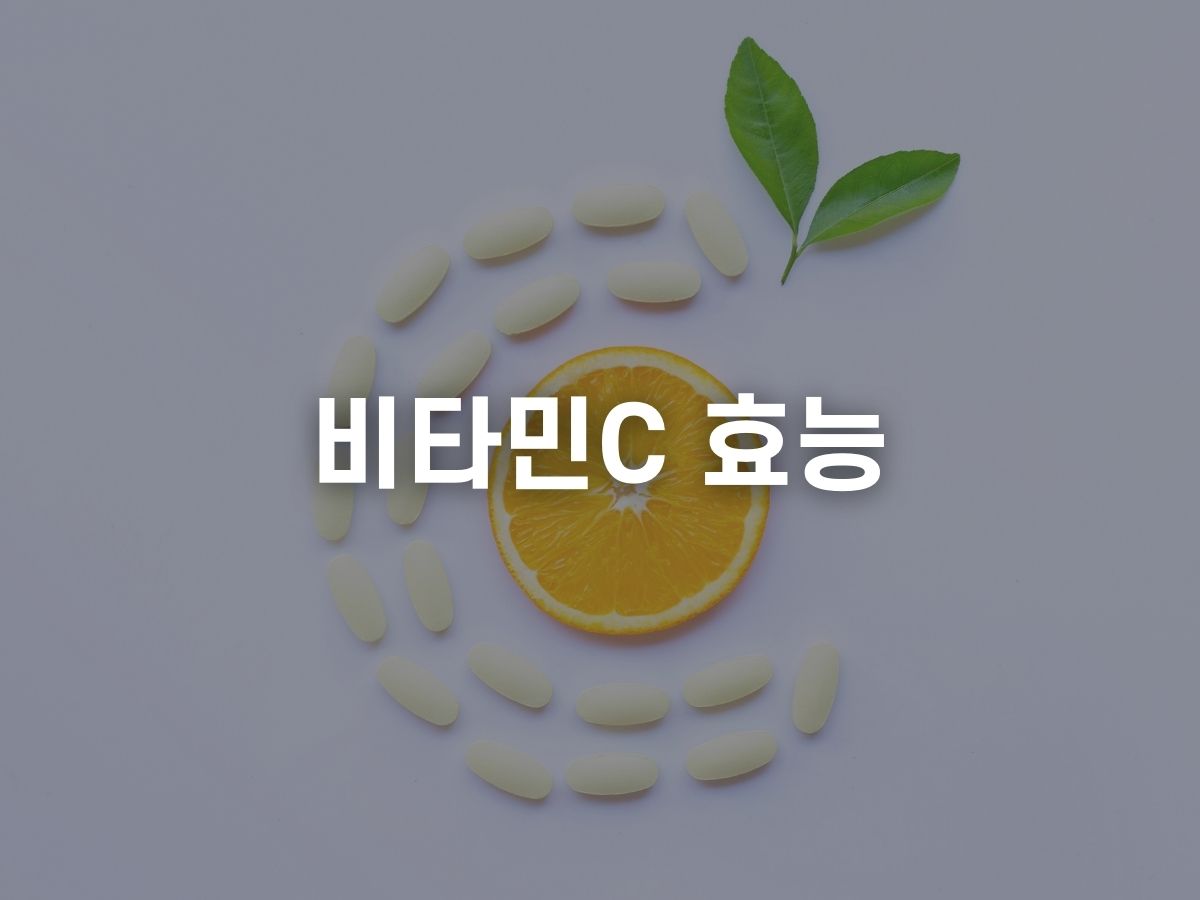 비타민C 효능