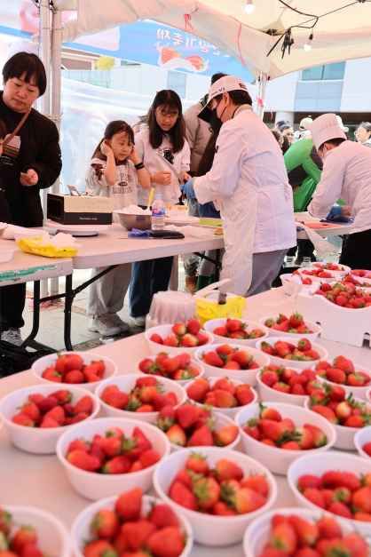논산딸기축제 완벽 가이드|일정·주차·체험·아이동반 팁 총정리