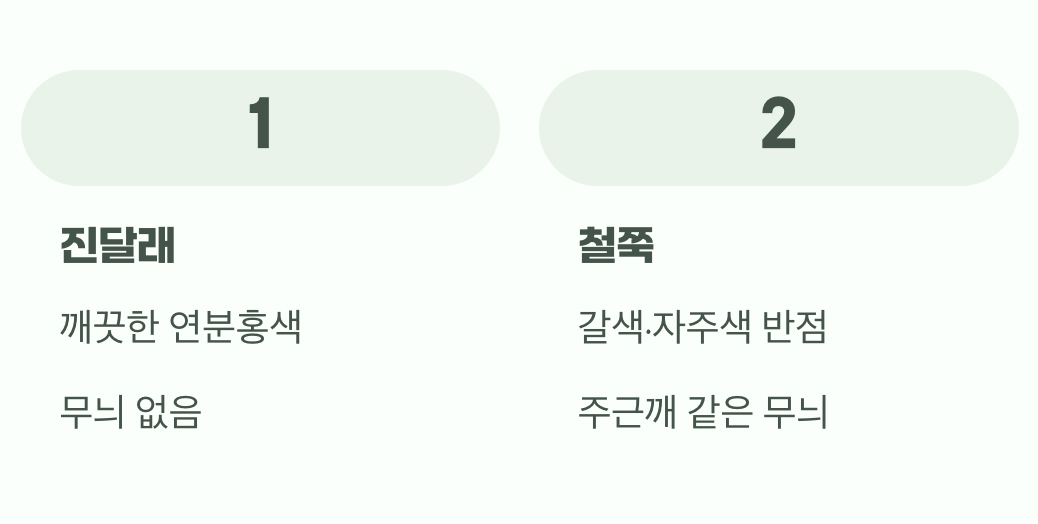 꽃잎의 주근깨를 찾아보세요