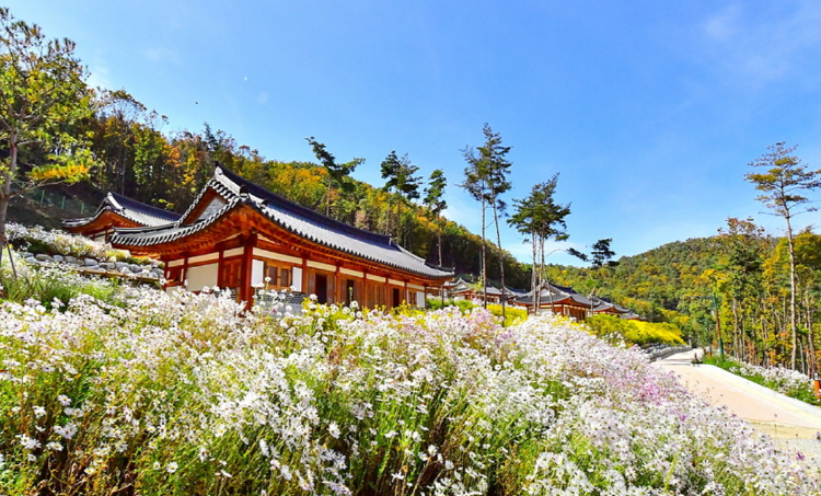 속리산 숲체험휴양마을