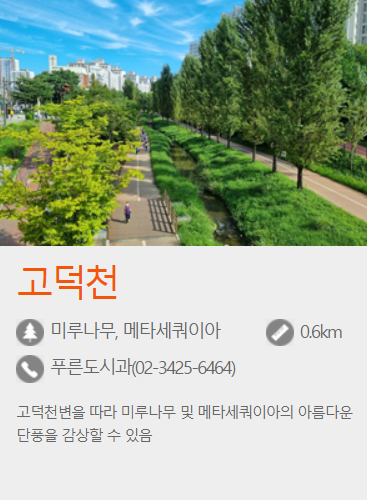 서울 단풍