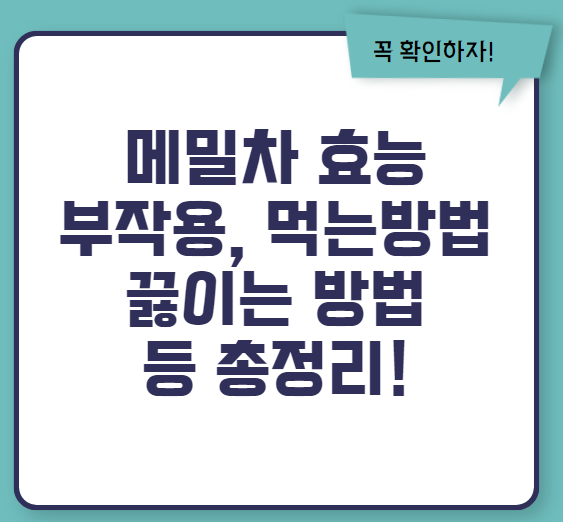 메밀차 효능 부작용 만드는법 먹는방법 총정리(2024 최신)