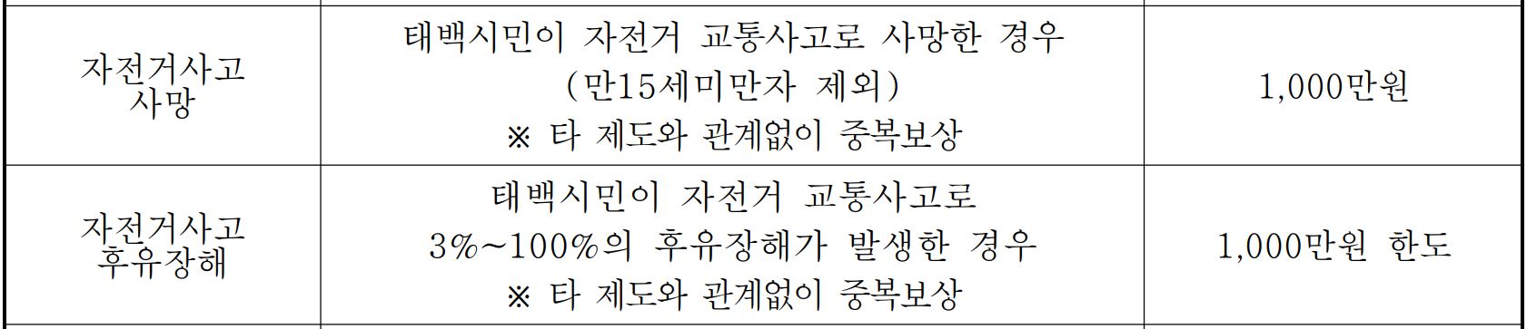 태백시 시민안전보험
