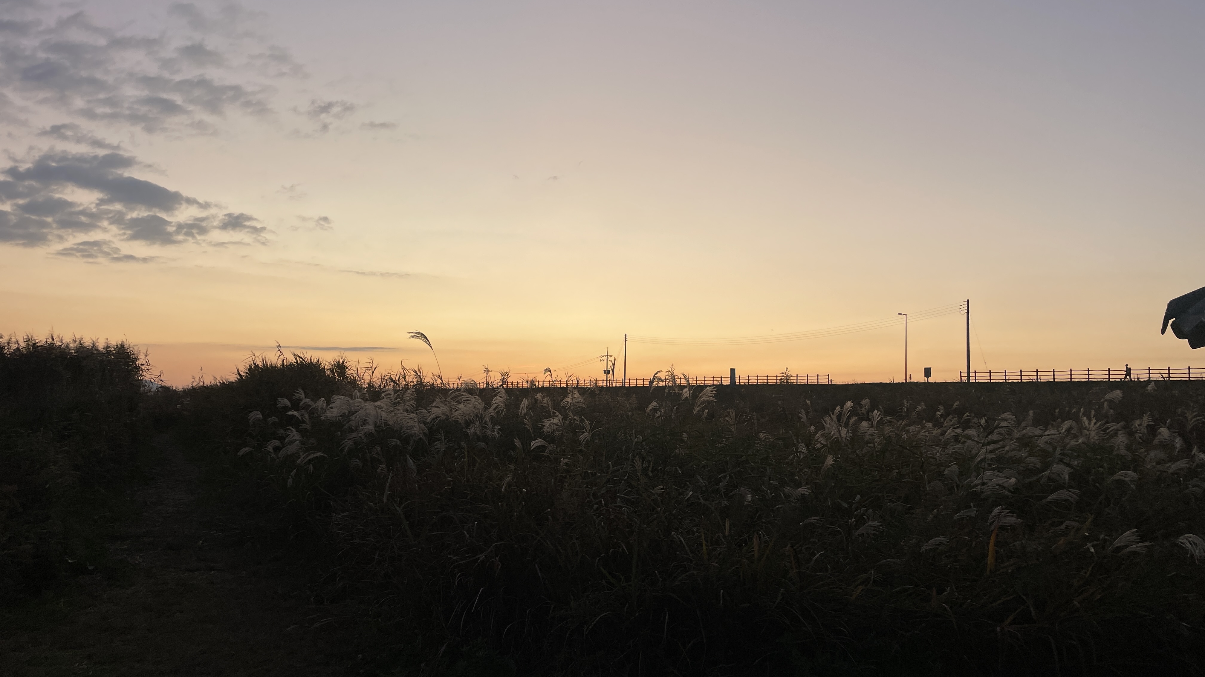 신성리갈대밭 일몰