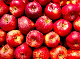 간에 좋은 음식 10가지