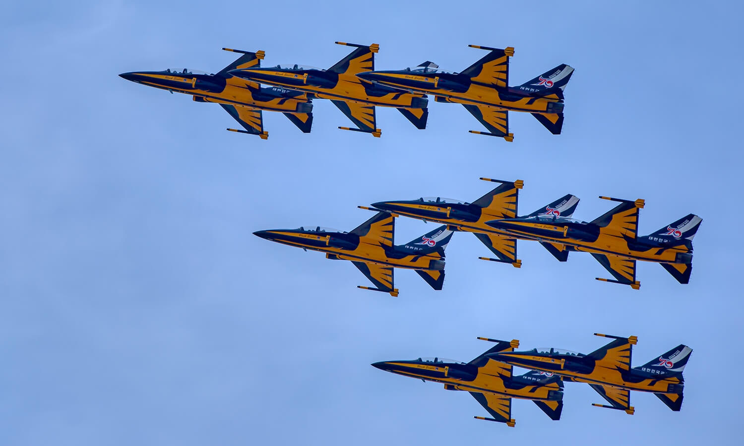 블랙이글스 기본정보