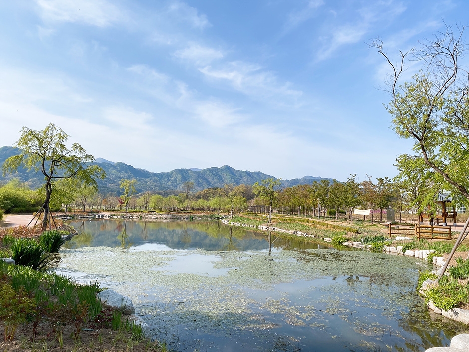 [4월~5월 여행지]만개한 꽃잔디와 봄날의 감동, 거창창포원에서 만난 힐링의 순간