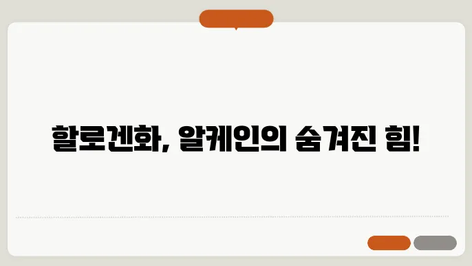 알케인의 할로겐화 반응 실험 과정