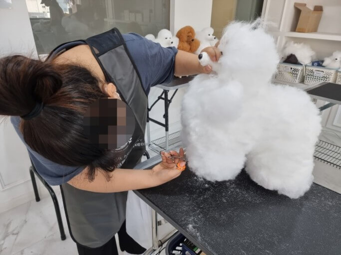 미용과 건간체크