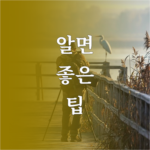 전기매트 안전 사용법 3가지 핵심 화..