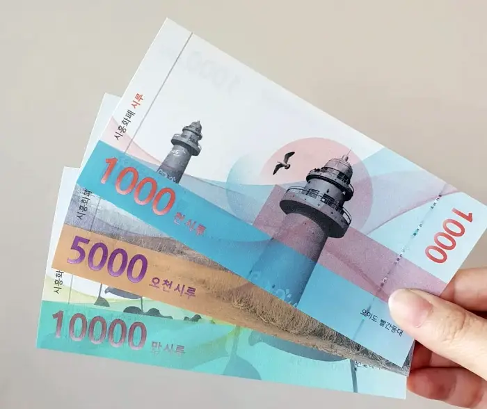 소비쿠폰 지급 방식은 지역화폐2