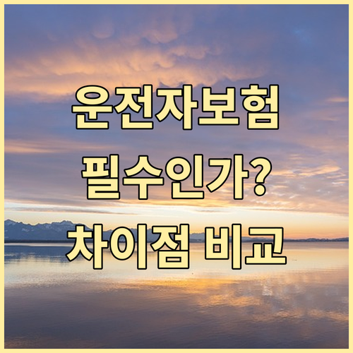 운전자보험, 자동차보험과 무엇이 다를..