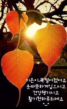 가을이미지
