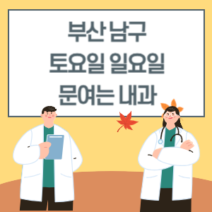 부산 남구 토요일 일요일 내과 진료 병원 리스트