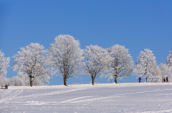 겨울 국내 여행지 관련 사진