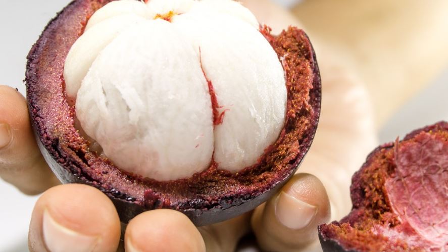 망고스틴까는법