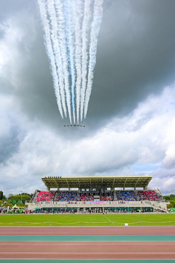 117년 전통 세종 조치원 복숭아축제 즐기기 (초대가수, 워터밤, 블랙이글스 에어쇼, 주차, 셔틀버스까지)