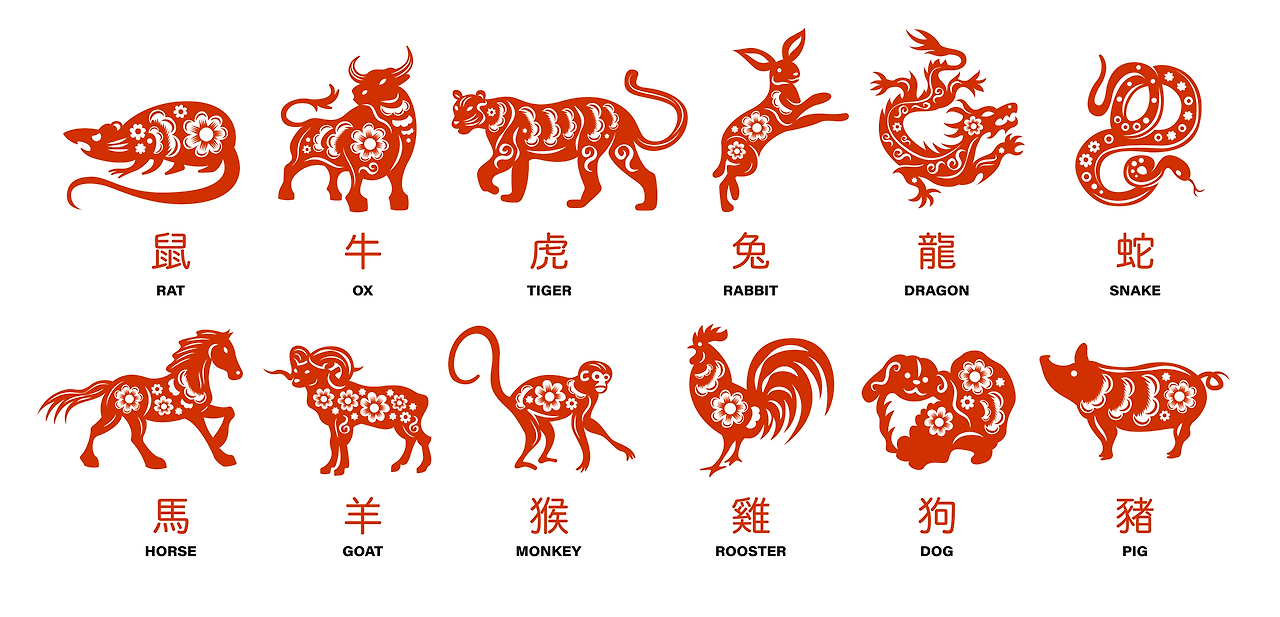 띠별 운세 12간지