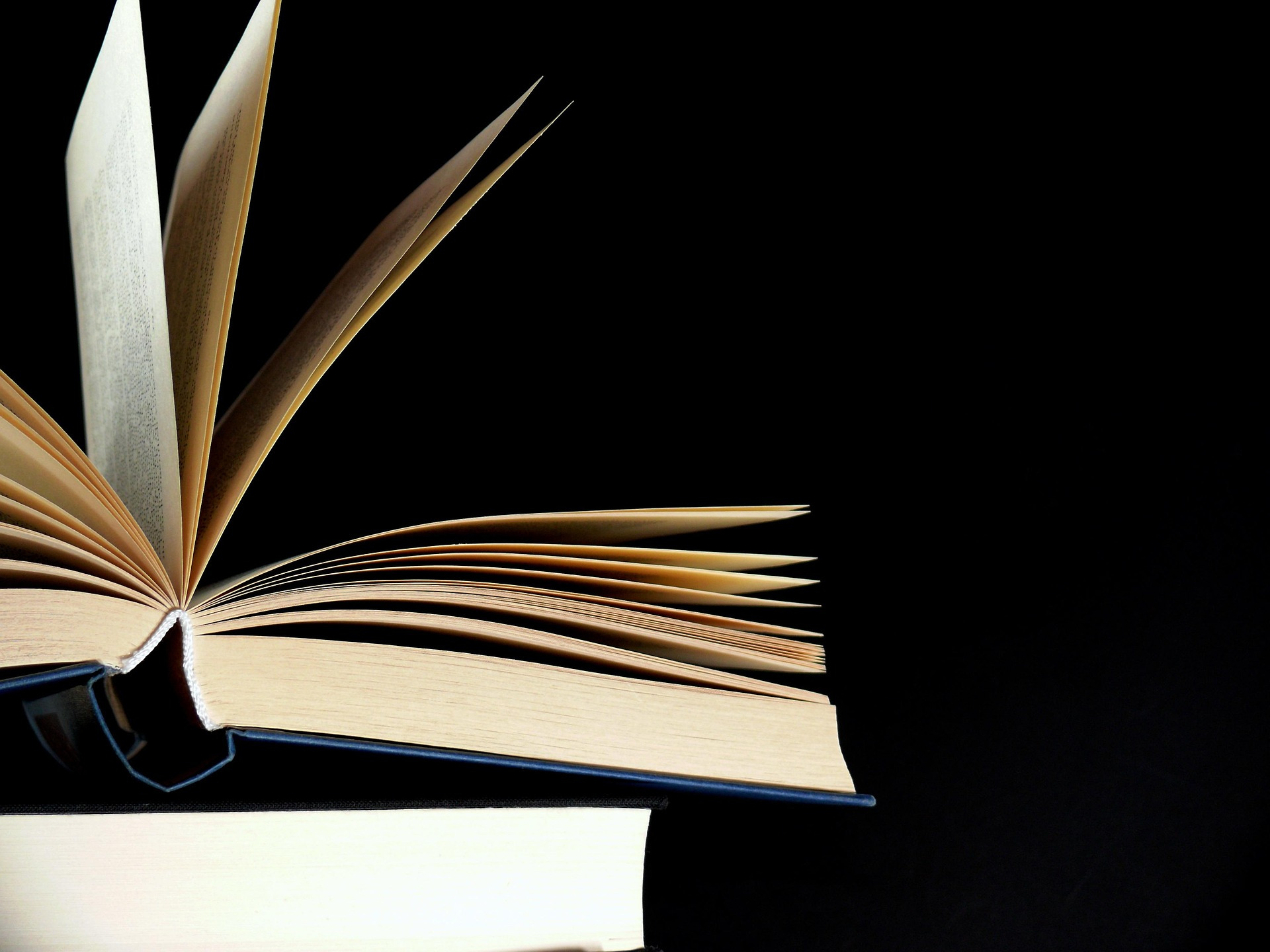 미국 인기 경제책 사진