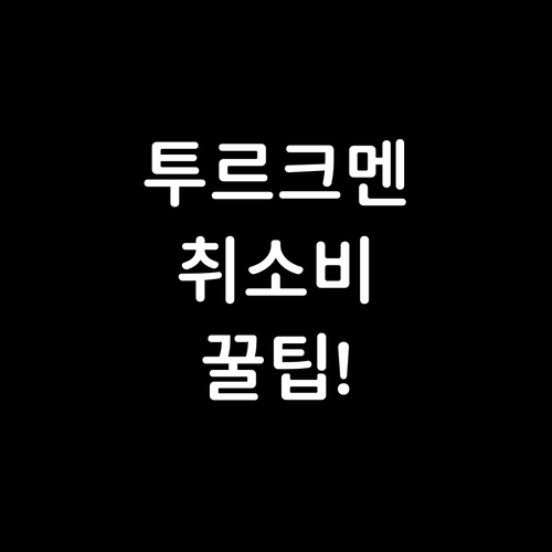 투르크메니스탄 여행 취소 수수료 최소..