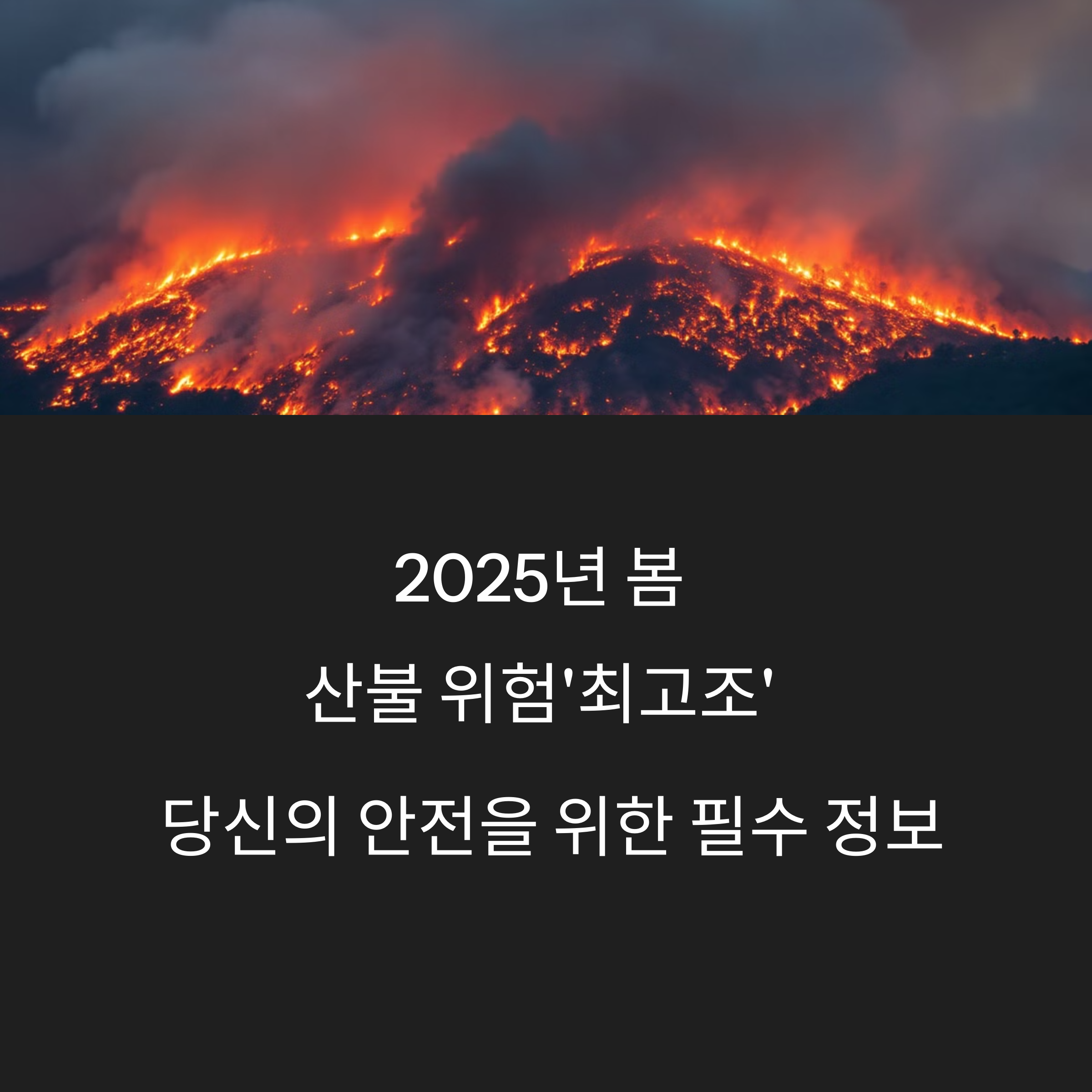 2025년 봄철 산불 주의보 산불 대피 요령