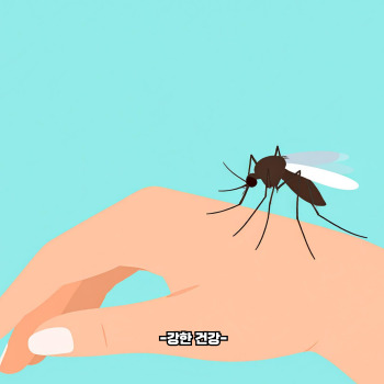 스키터 증후군 증상