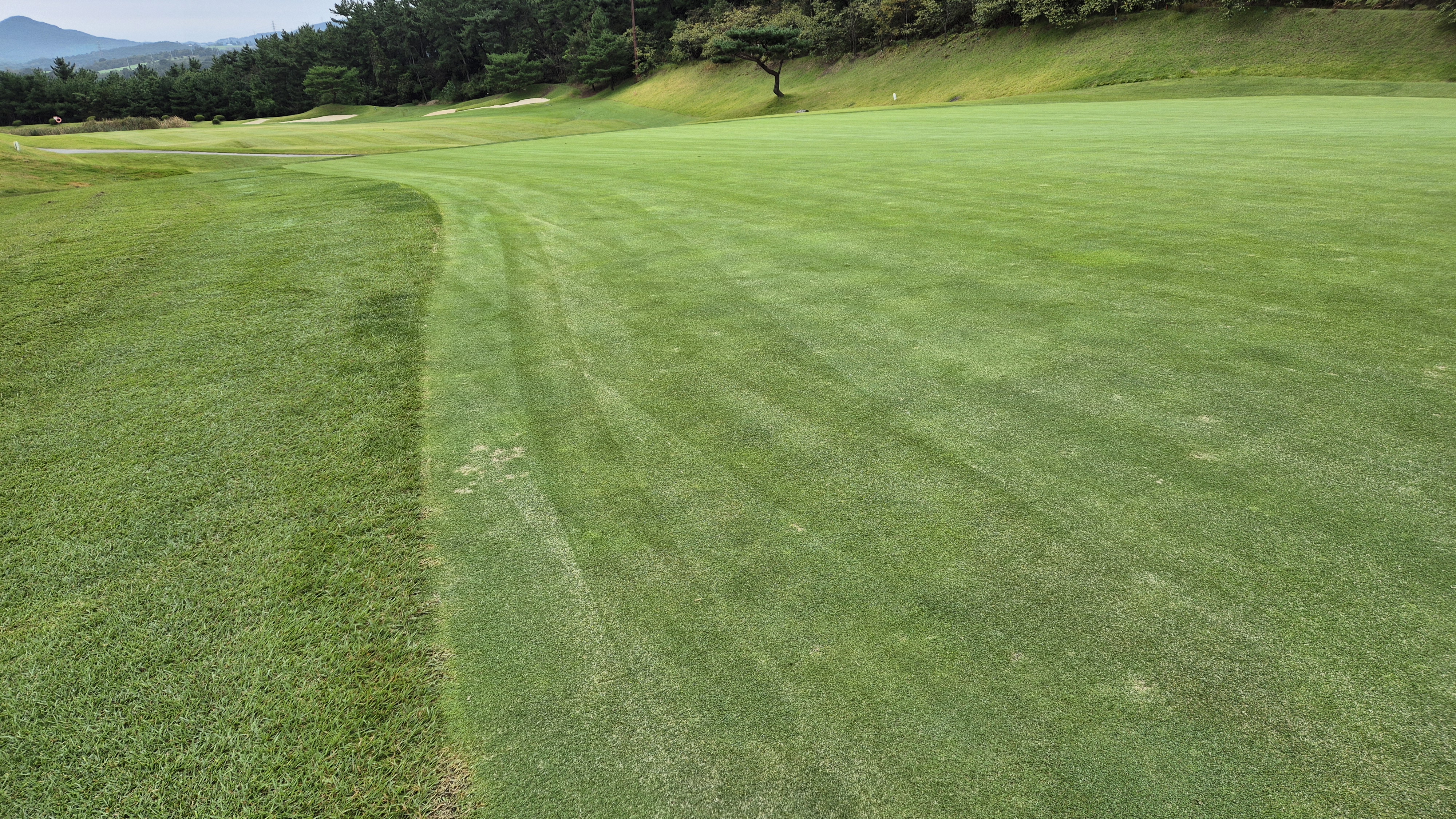 서산수cc 그린 빠르기 및 난이도