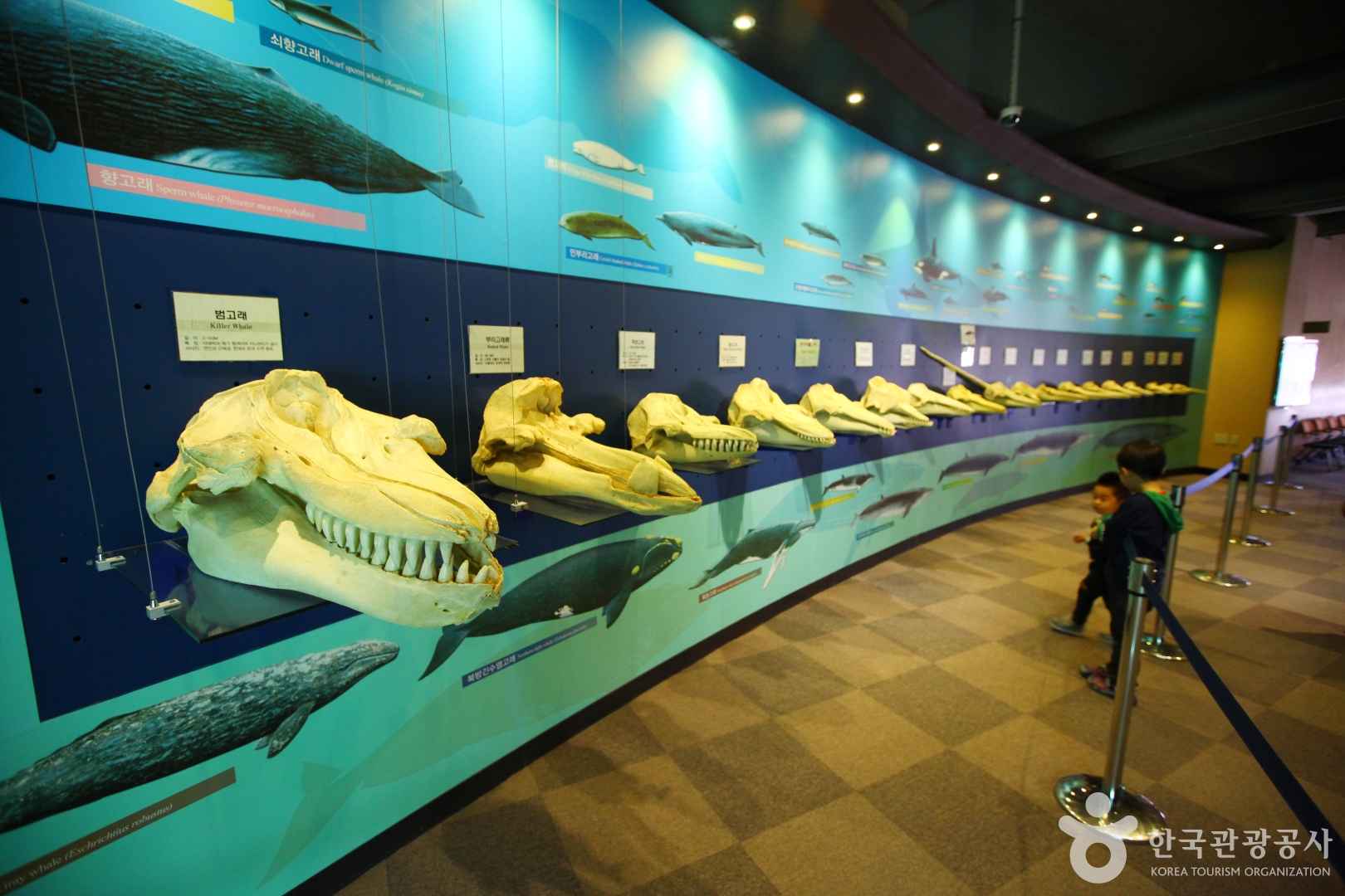 장생포 고래박물관