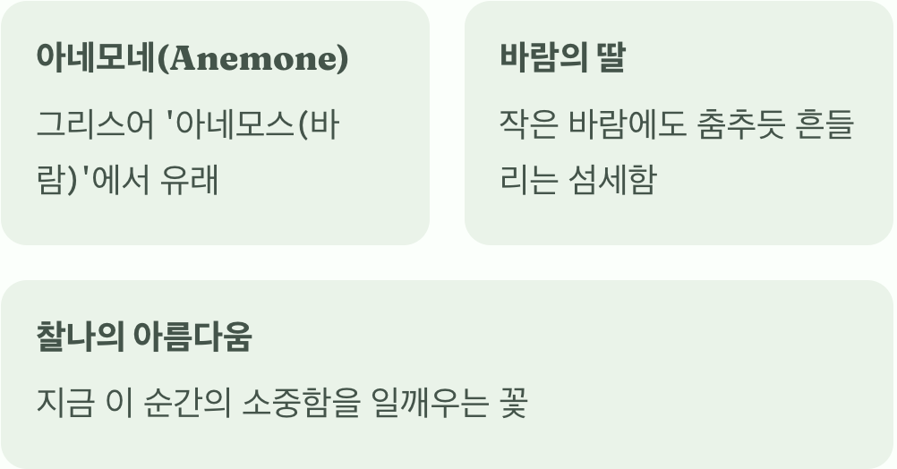 바람의 숨결로 피어난 꽃