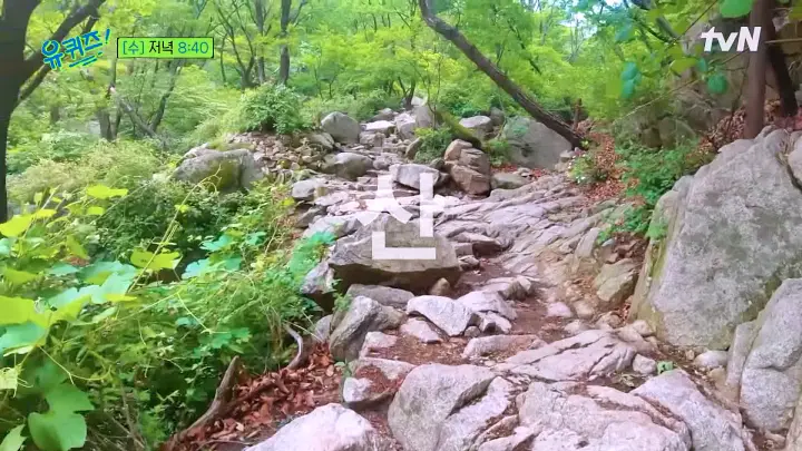유퀴즈 온더블럭 17년째 새를 찾아다니며 탐조 일기를 쓰는 새덕후 연세대 김어진 유튜브 정보