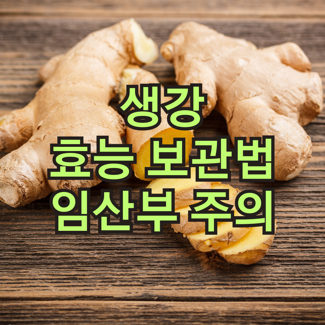 생강 효능과 부작용 보관방법 임산부 복용 주의사항