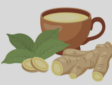 생강차 효능 부작용 끓이는 방법 먹는법 등 총정리