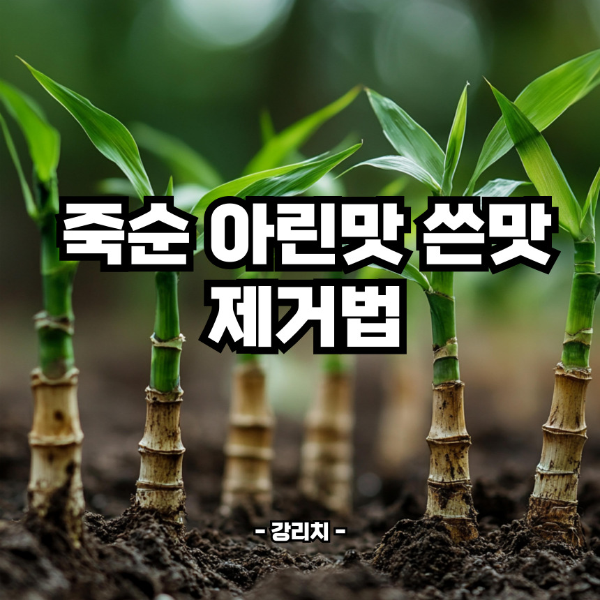 죽순 아린맛 쓴맛 제거법