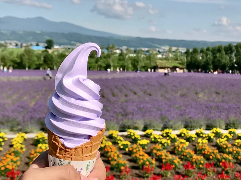 팜 토미타 라벤더 아이스크림