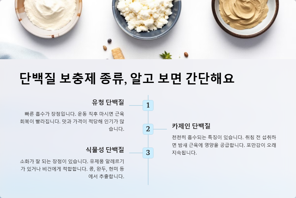 단백질 보충제 비교