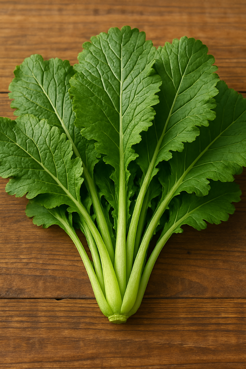 신선한 겨자채 잎의 선명한 초록빛