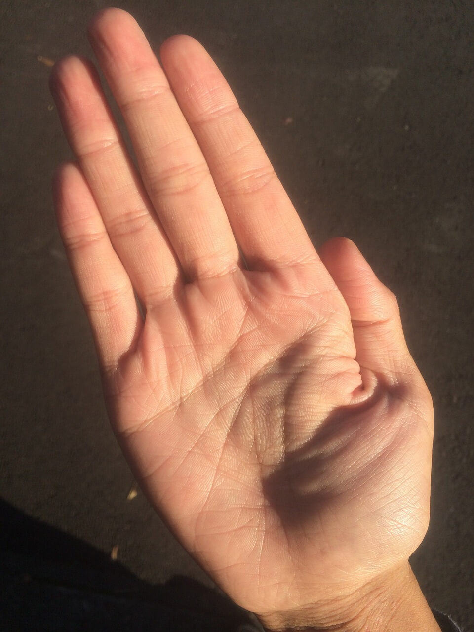 손금 보는법 재물운 생명선