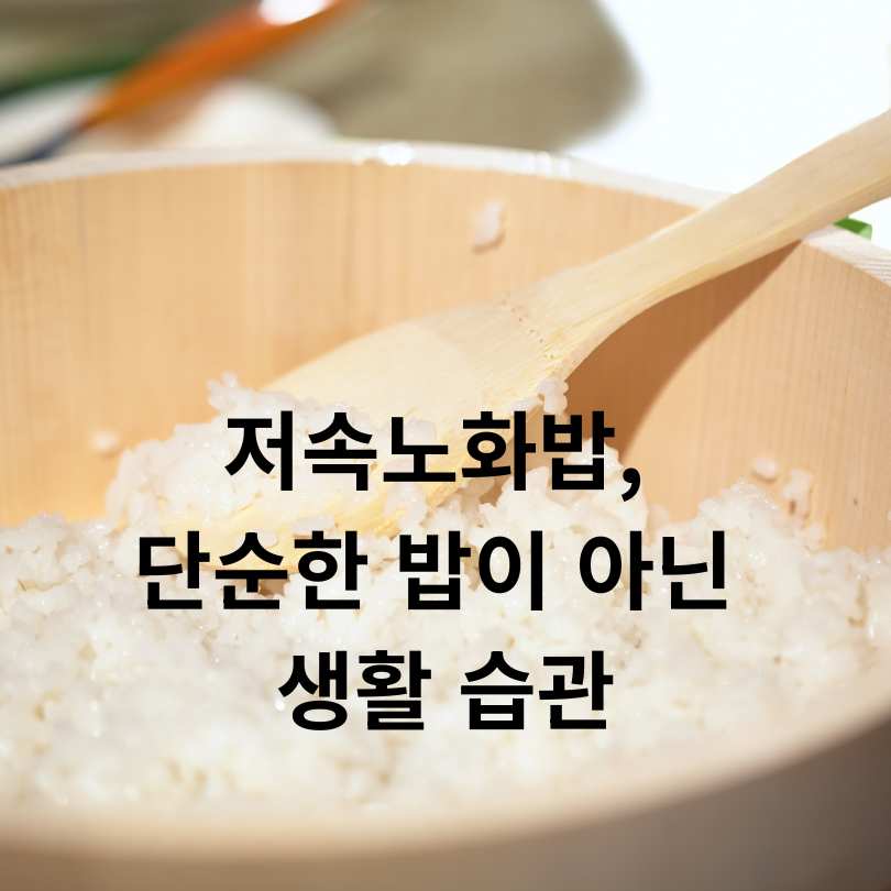 저속노화밥 효과와 저속노화밥 황금비율 공개!