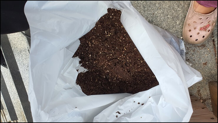 기존-화분의-흙